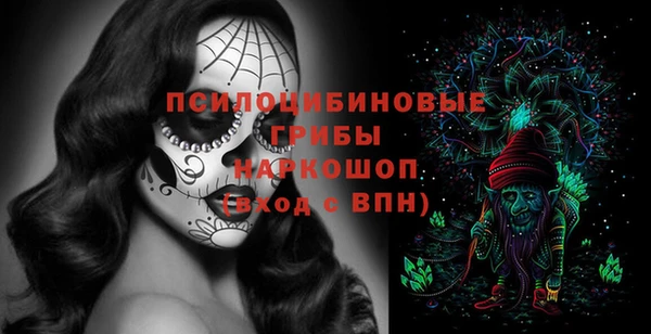 амф Балахна