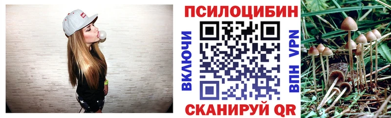 Псилоцибиновые грибы Psilocybine cubensis  Краснотурьинск 